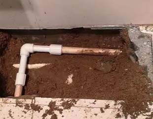 乐山市测漏水哪家好